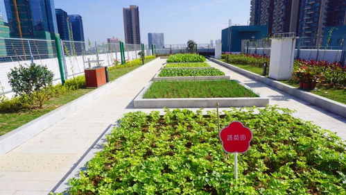 生态理念融入园林设计与施工的措施探讨